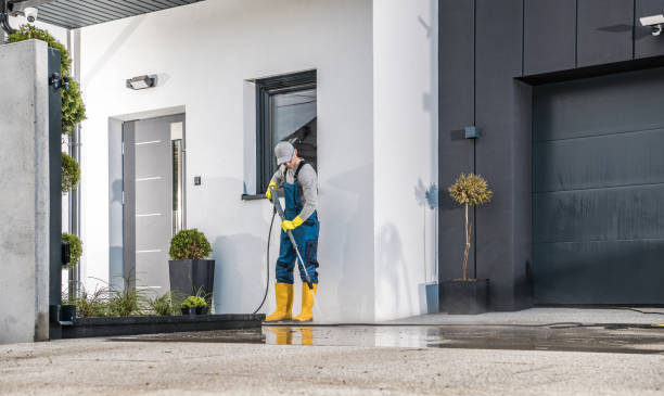 Animal Enclosure Cleaning in Beach City, TX